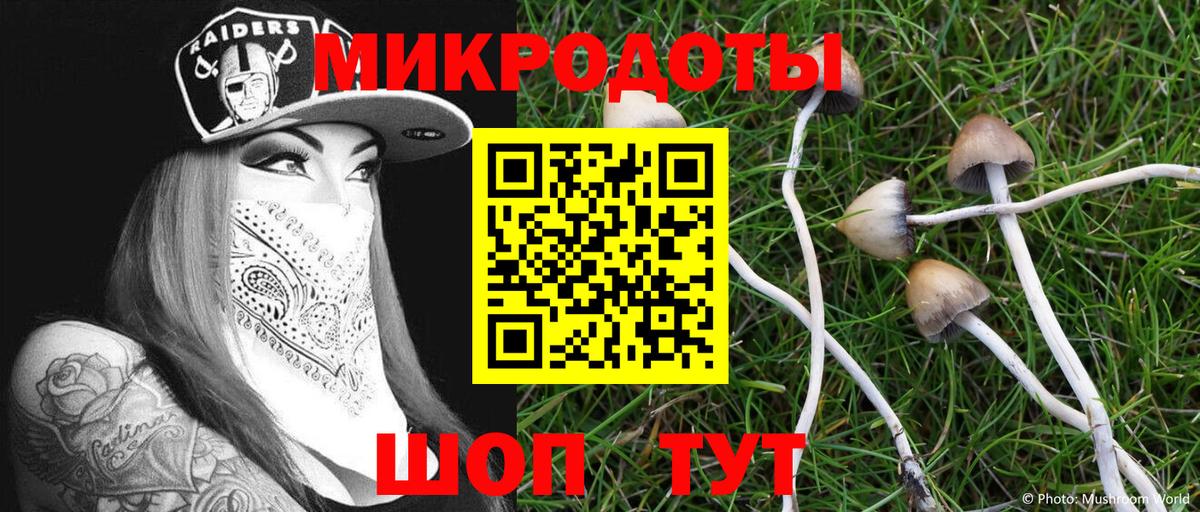 Саяногорск  Галлюциногенные грибы GOLDEN TEACHER  Вход с VPN 